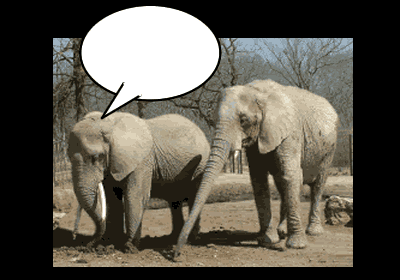 Click cartoon to read full post or to COMMENT Two elephants Photo Caption Contest cartoon
